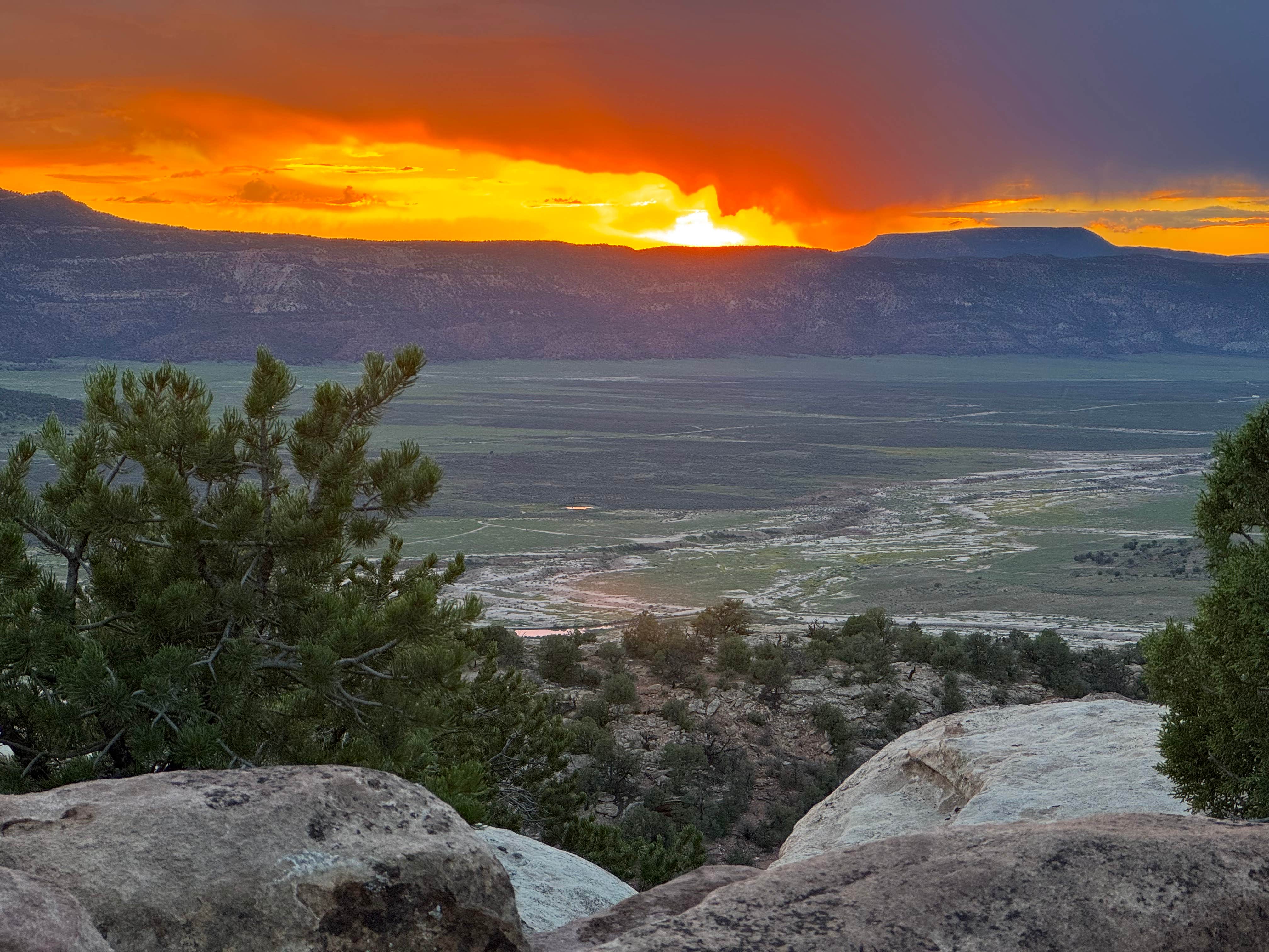 Casey P.'s photo of a dispersed camping area at Long Park Rd Dispersed Camping near Dove Creek, CO