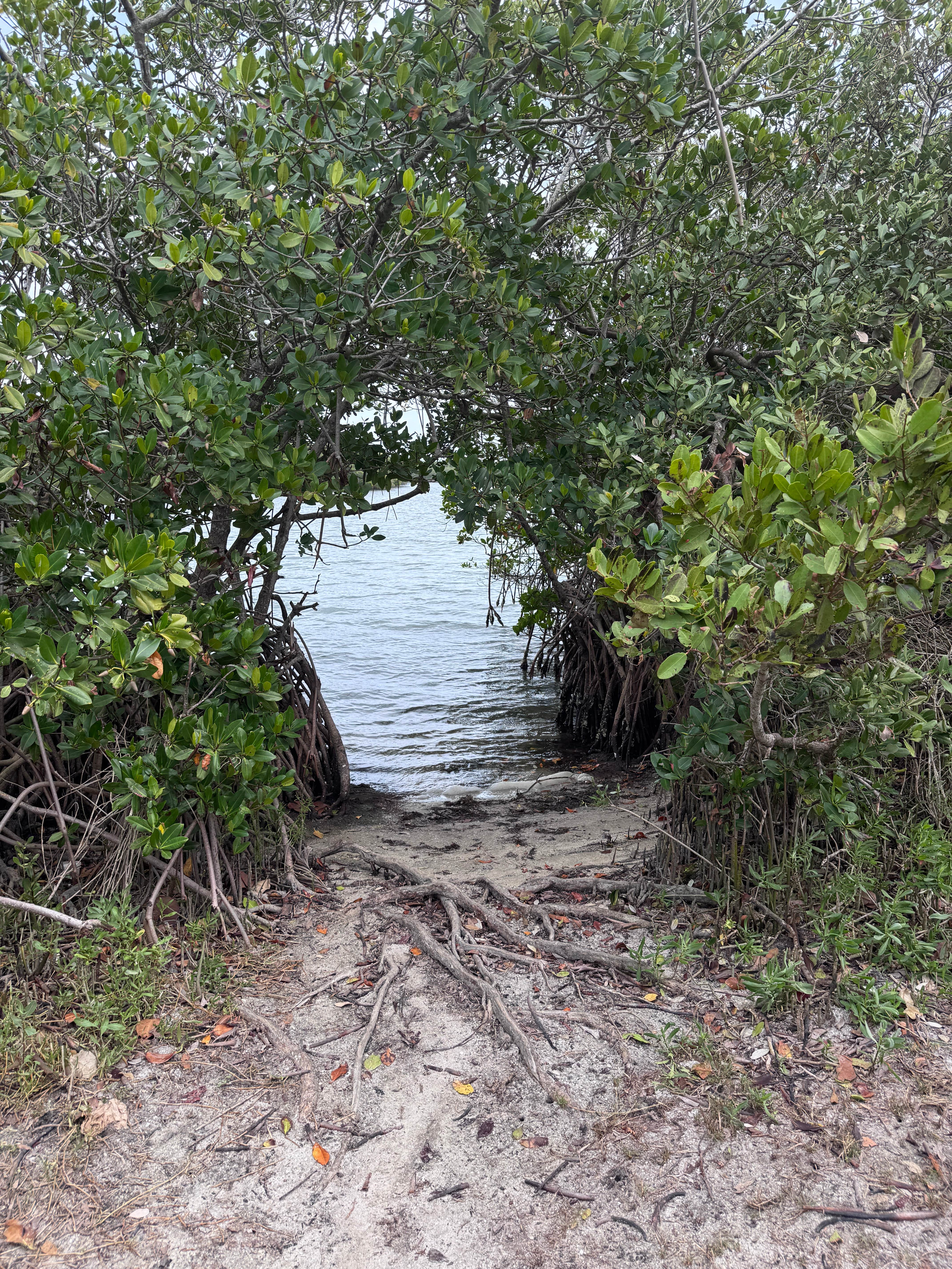 Camping near Encore Sunshine Travel: Long Point Park, Grant, Florida