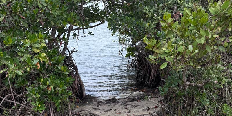 Camper submitted image from Long Point Park