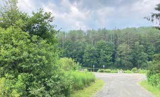 Janet R.'s photo of a dispersed camping area at Long Pond Campground near Owego, NY