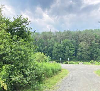 Binghamton Location
