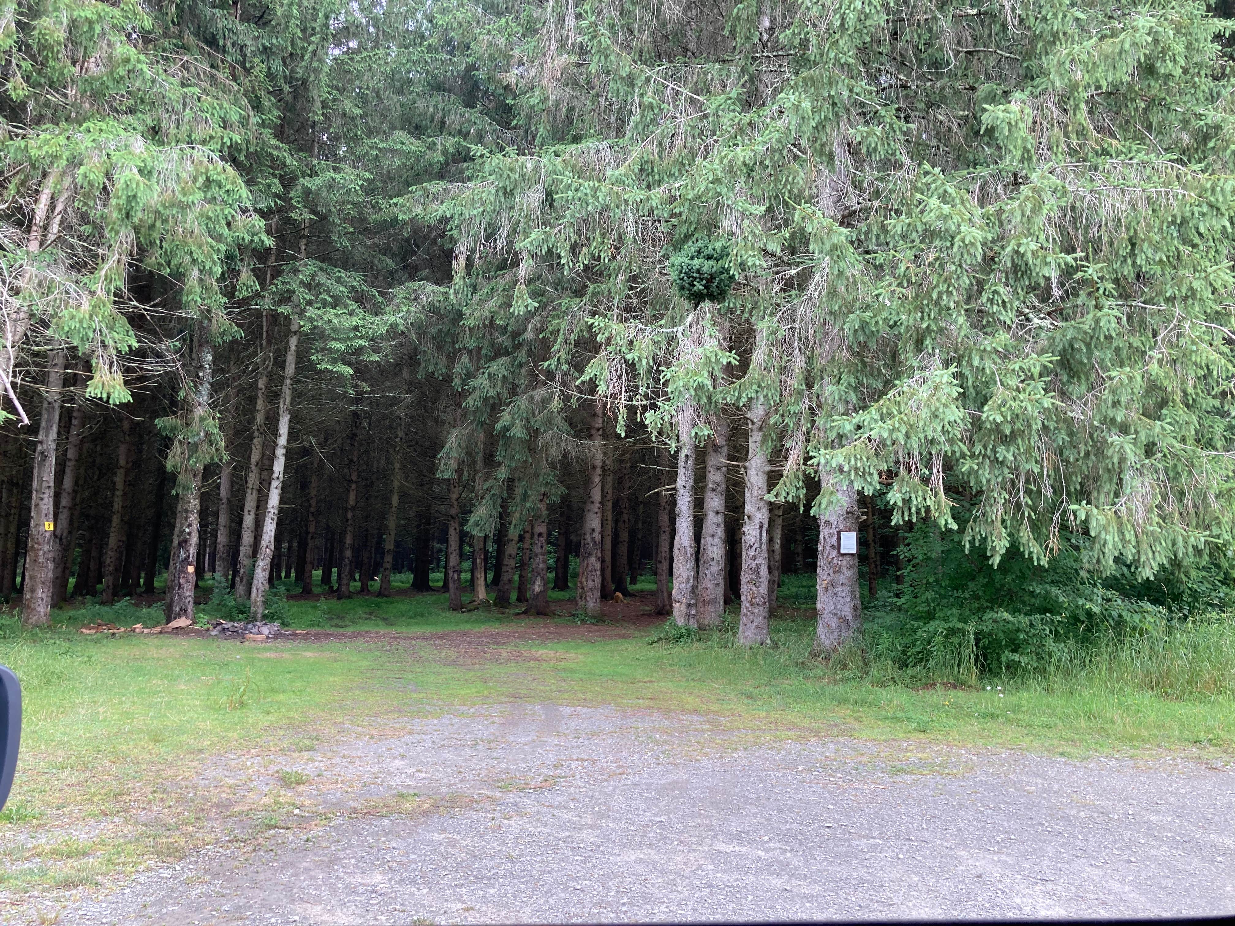 Camper-submitted photo at Long Pond Campground near Killawog, NY