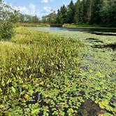 Review photo of Long Pond Campground by Katelyn H., August 16, 2024