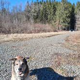 Review photo of Long Pond Campground by Emily M., March 28, 2026