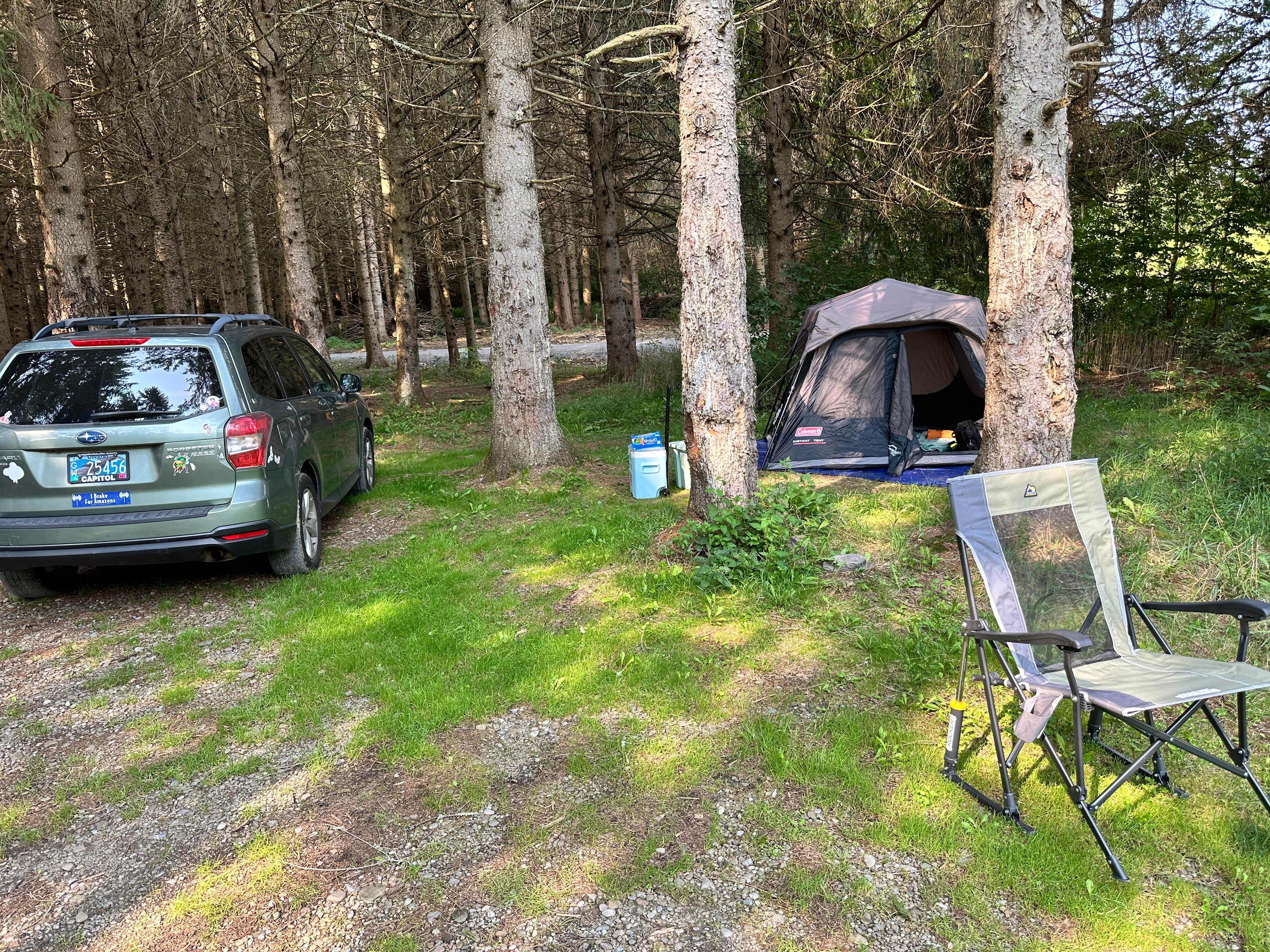 Katelyn H.'s photo of a dispersed camping area at Long Pond Campground near Syracuse, NY