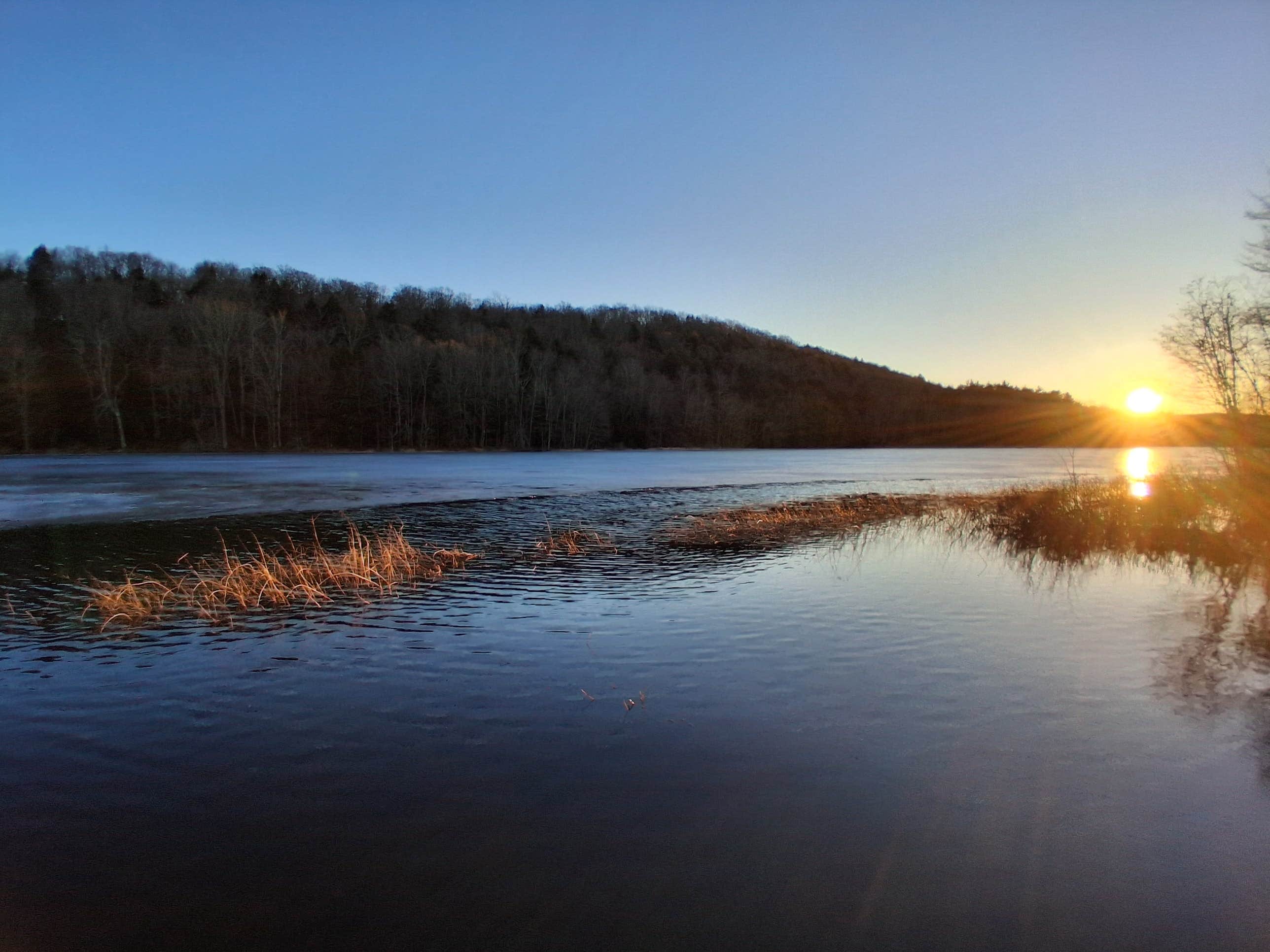 Emily M.'s photo of a dispersed camping area at Long Pond Campground near Canastota, NY