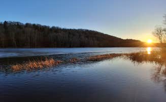 Emily M.'s photo of a dispersed camping area at Long Pond Campground near Canastota, NY