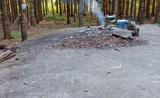 Kevin C.'s photo at Long Pond Campground near Berkshire, NY