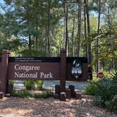 Review photo of Longleaf Campground — Congaree National Park by Joel R., September 5, 2025