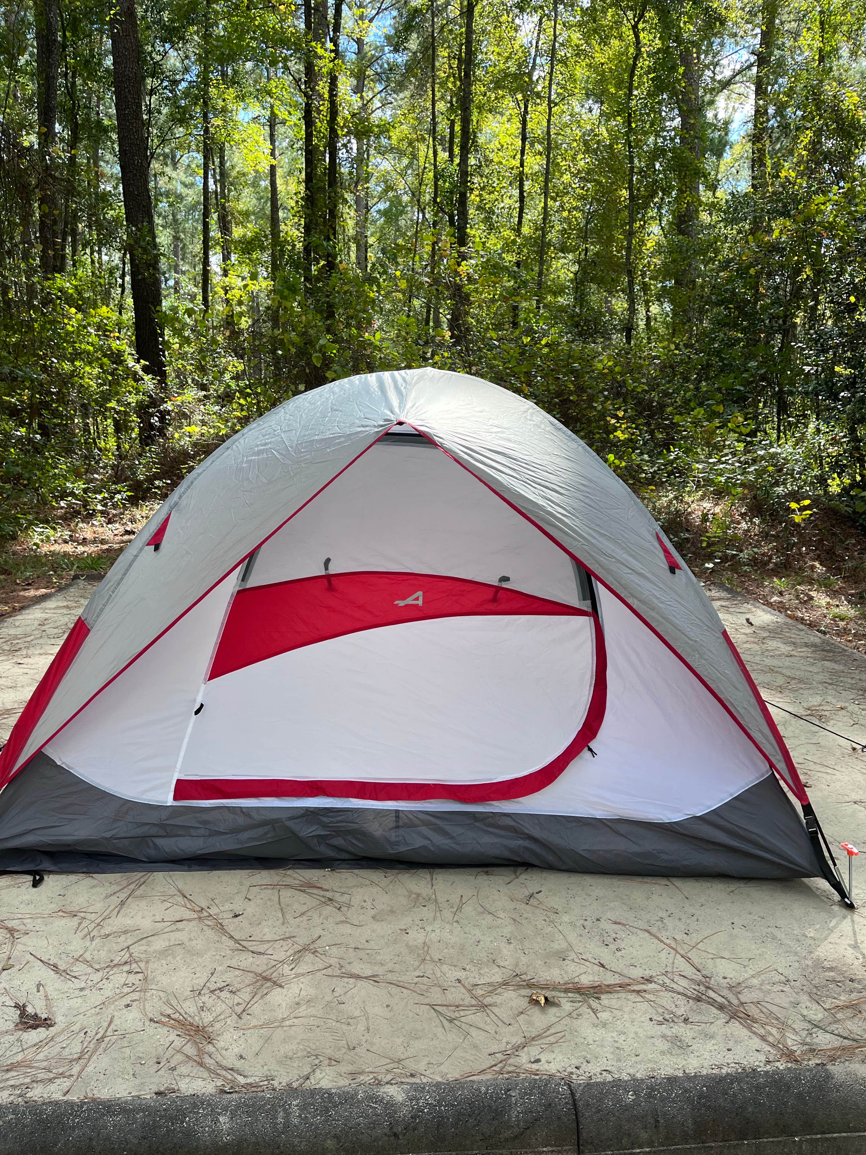 Kim L.'s photo at Longleaf Campground — Congaree National Park near Hopkins, SC