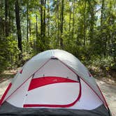 Review photo of Longleaf Campground — Congaree National Park by Kim L., November 17, 2024