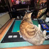 Review photo of Longstreet Inn Casino & RV Resort by Andy A., February 3, 2026