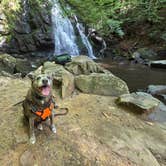 Review photo of Look Rock Campground — Great Smoky Mountains National Park by Thomas B., September 1, 2026