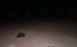 Mary P.'s photo at Looking Glass Road (Dispersed) near La Sal, UT