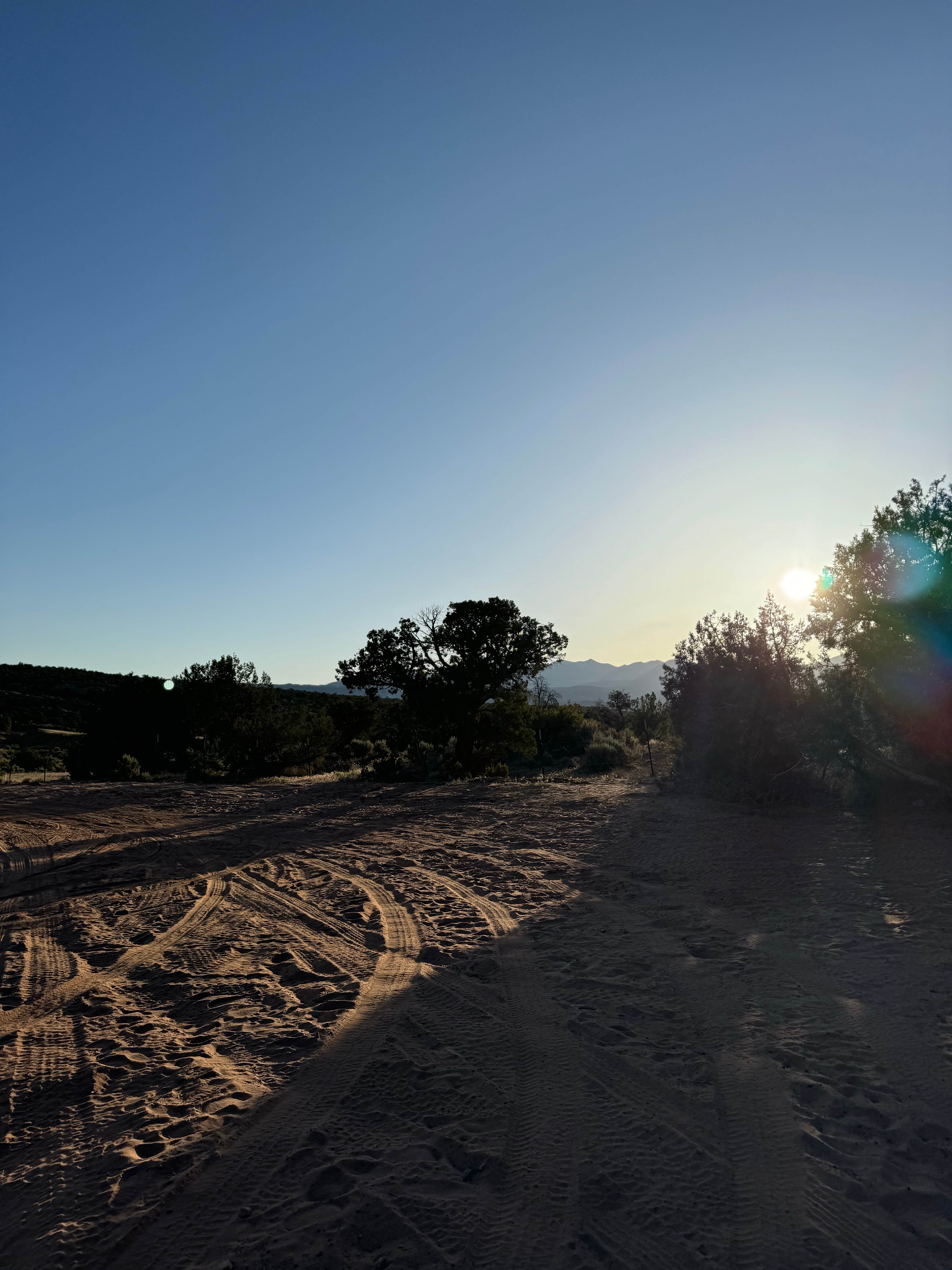 Mary P.'s photo of a dispersed camping area at Looking Glass Road (Dispersed) near La Sal, UT