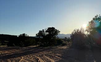 Mary P.'s photo of a dispersed camping area at Looking Glass Road (Dispersed) near Monticello, UT