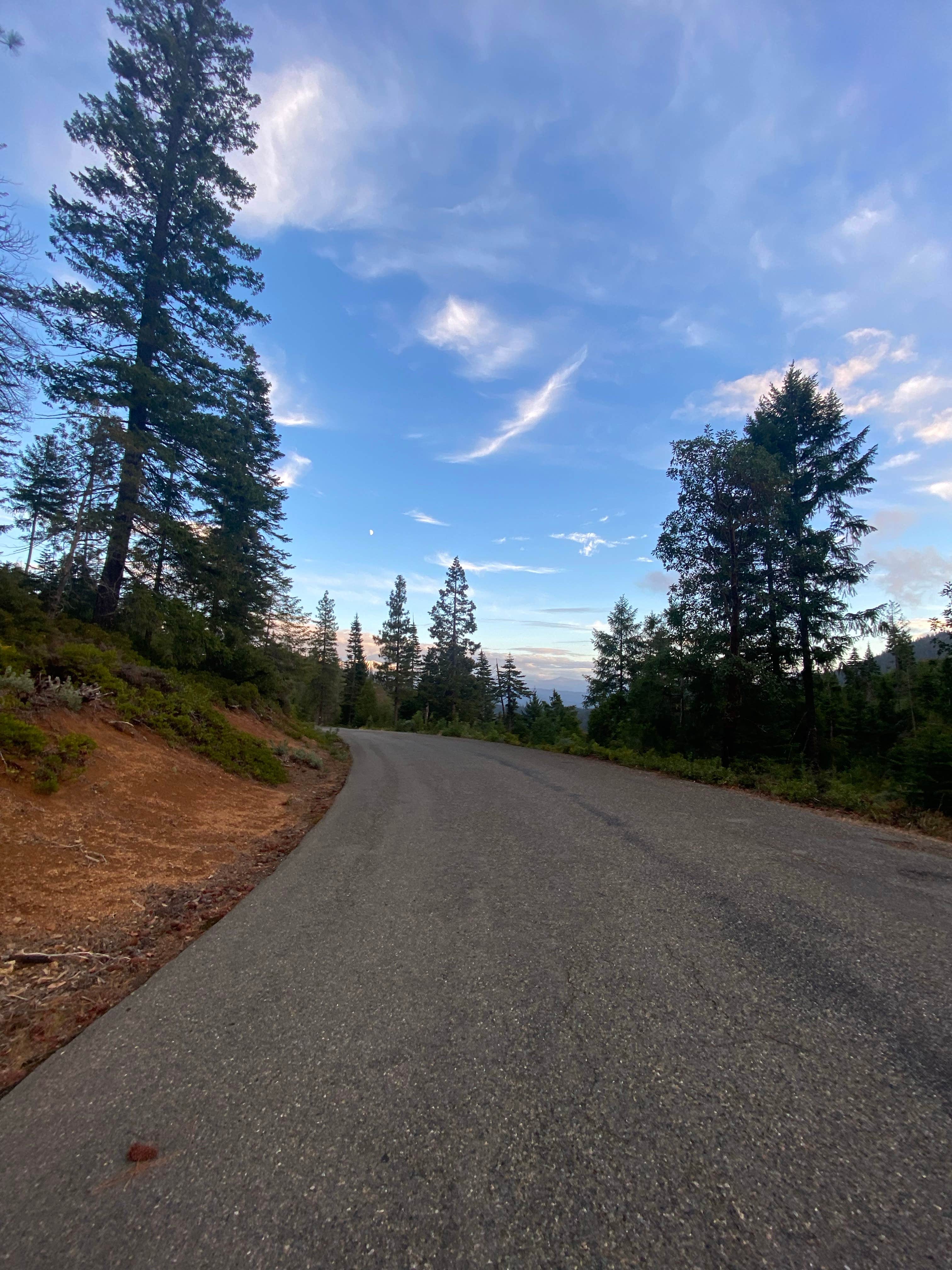 Imerie T.'s photo of a dispersed camping area at Lookout Gap near Smith River, CA