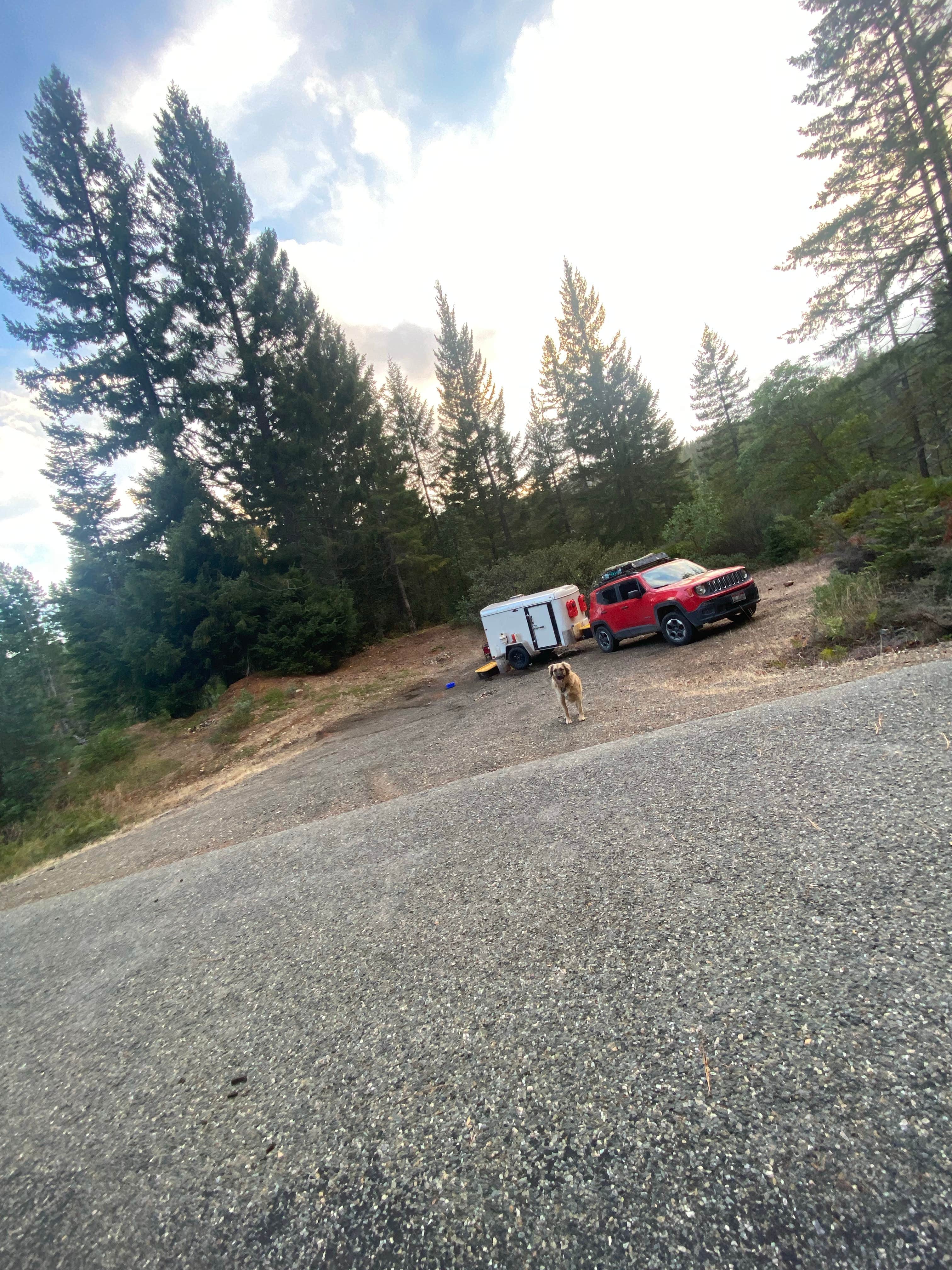 Camper-submitted photo at Lookout Gap near Merlin, OR