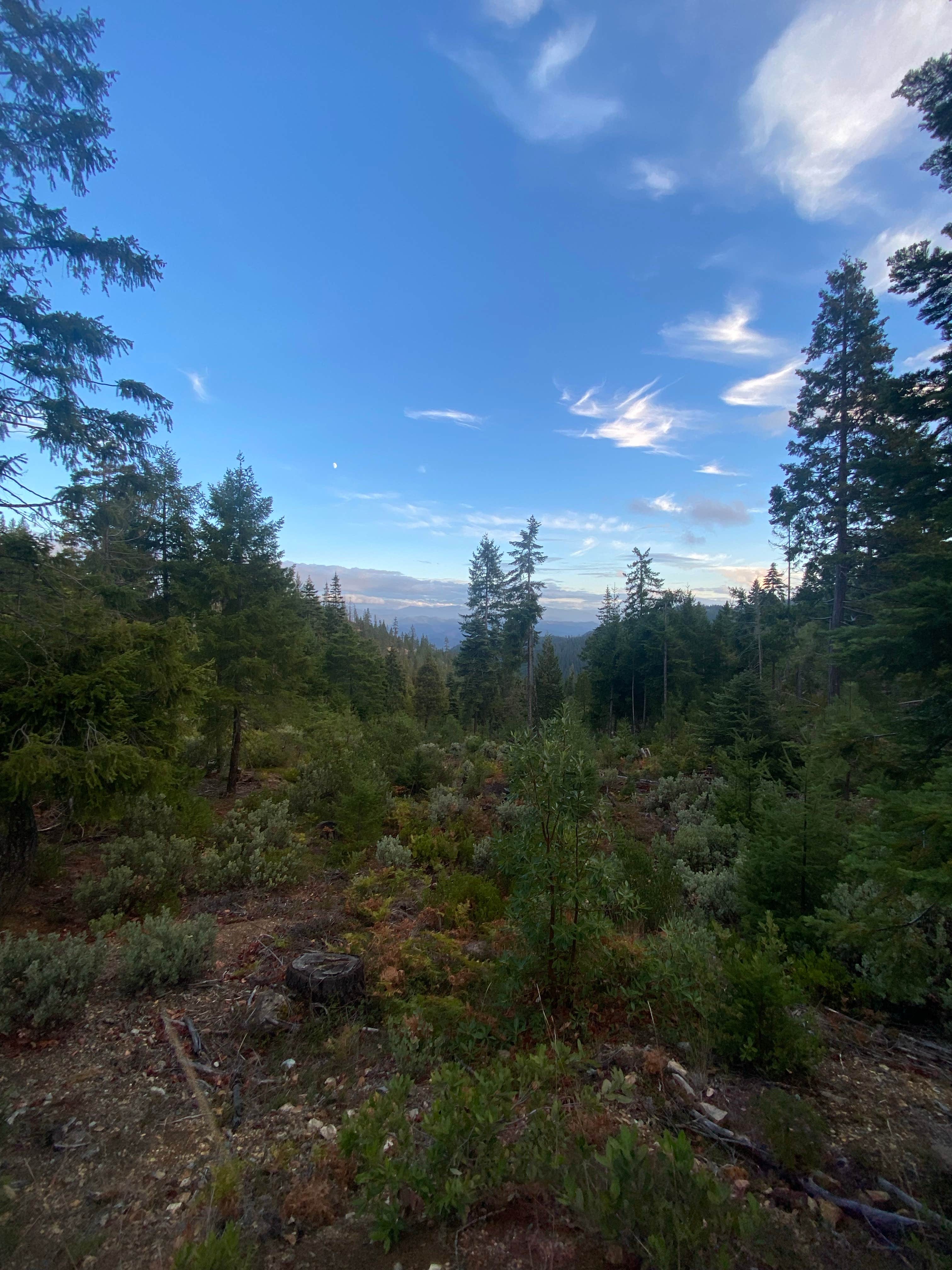 Camper-submitted photo at Lookout Gap near Merlin, OR