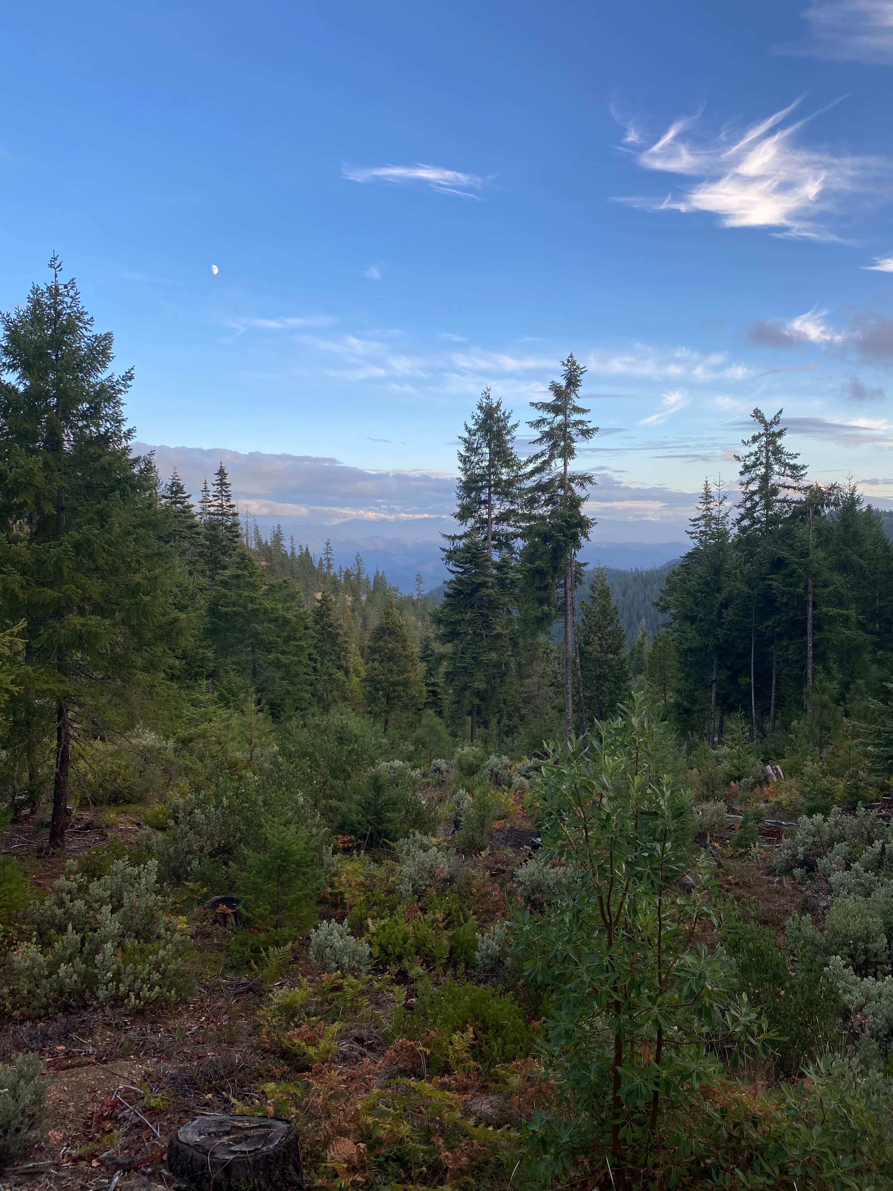 Camping near Smoke on the Water: Lookout Gap, Selma, Oregon