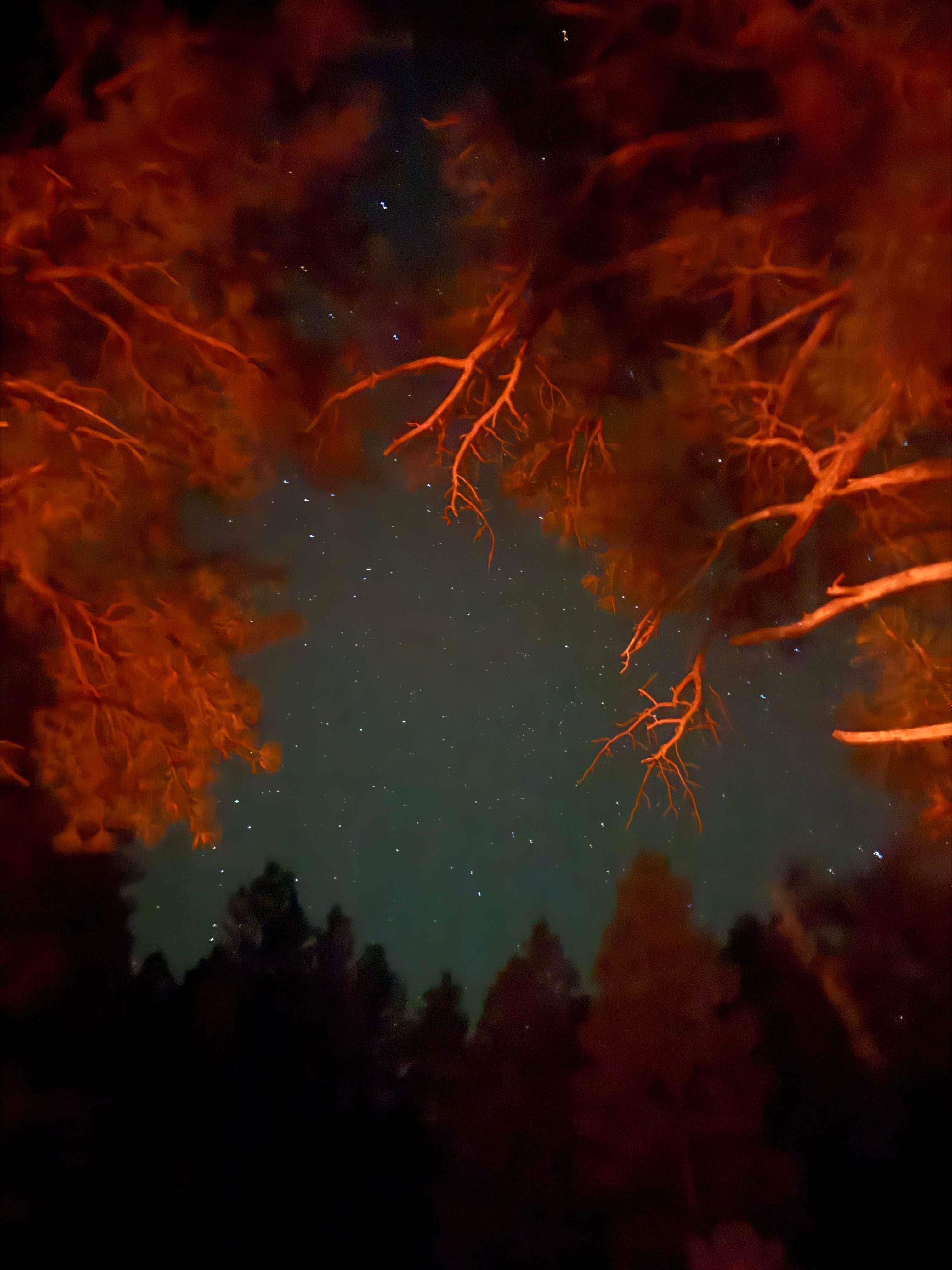 Camper submitted image from lookout tower Dispersed camping - 1