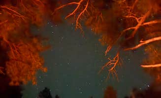 Stacia M.'s photo of a dispersed camping area at lookout tower Dispersed camping near Tuba City, AZ