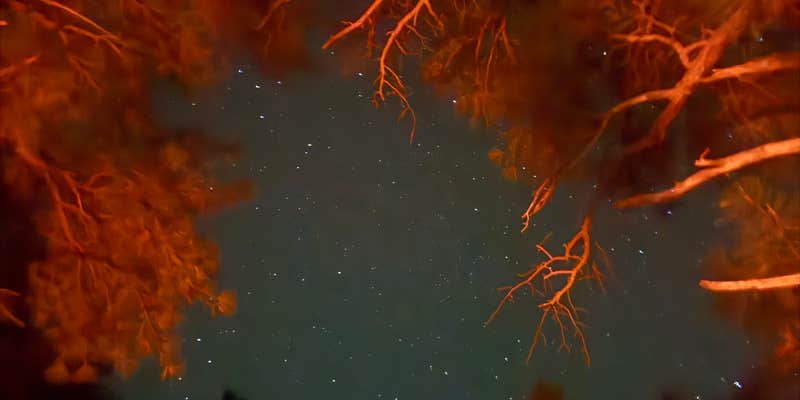 Camper submitted image from lookout tower Dispersed camping