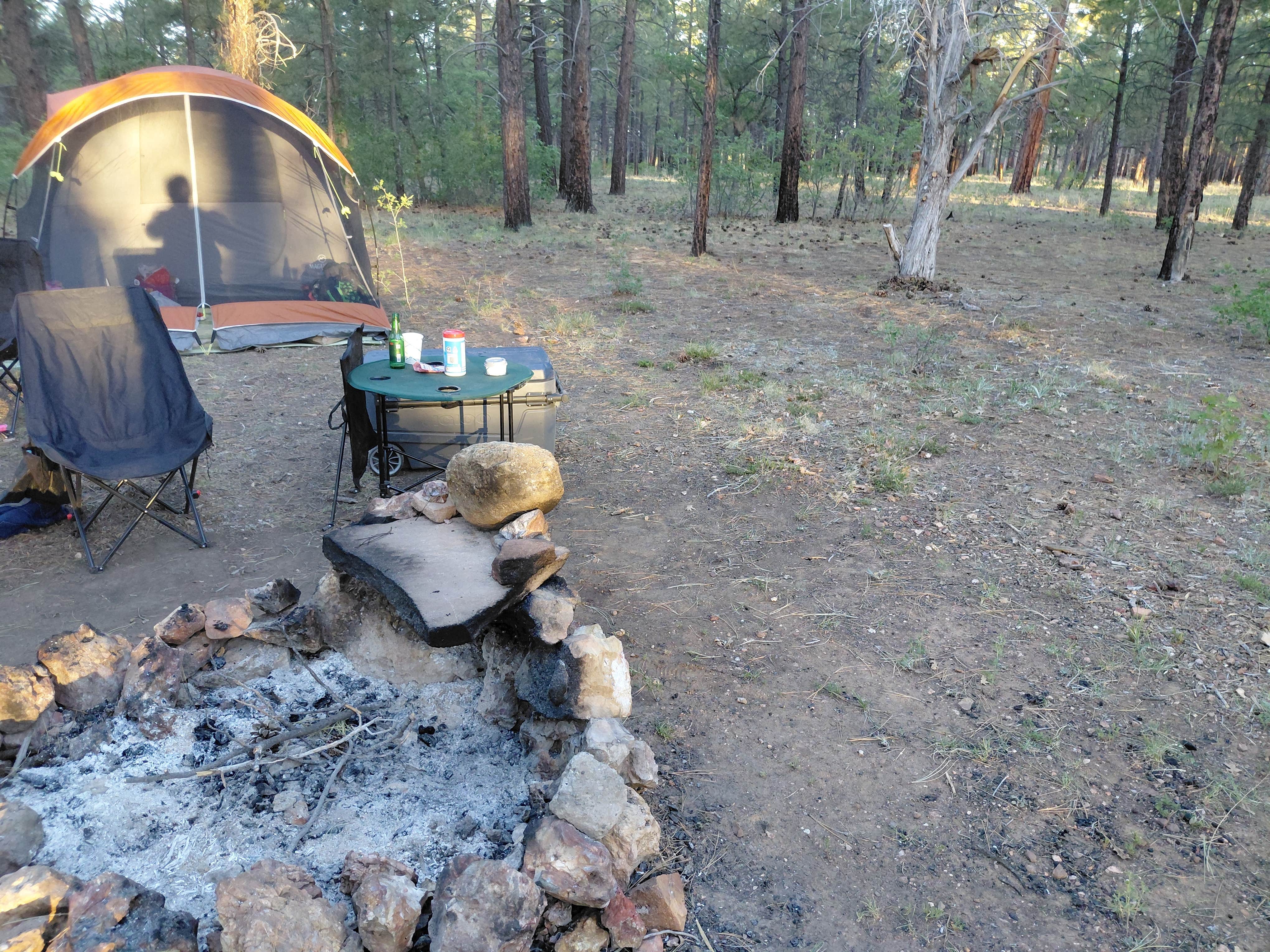 Camper-submitted photo at lookout tower Dispersed camping near Cameron, AZ
