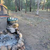 Review photo of lookout tower Dispersed camping by TROY M., June 1, 2026