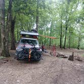 Review photo of Lookout Tower Road by Tobin B., June 7, 2026