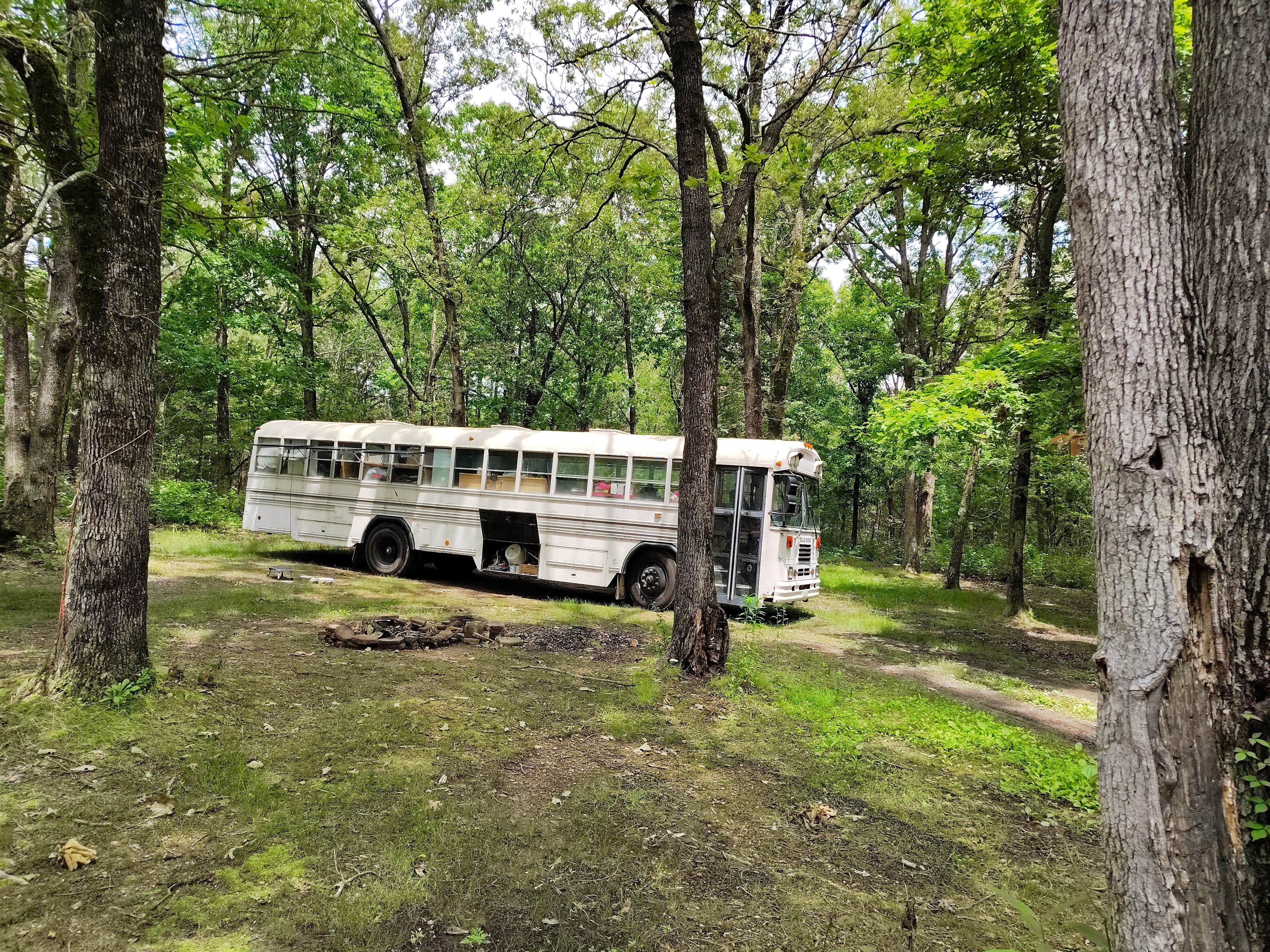 Camper-submitted photo at Lookout Tower Road near Fayetteville, AR