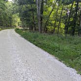 Review photo of Lookout Tower Road by Larry E., July 3, 2026