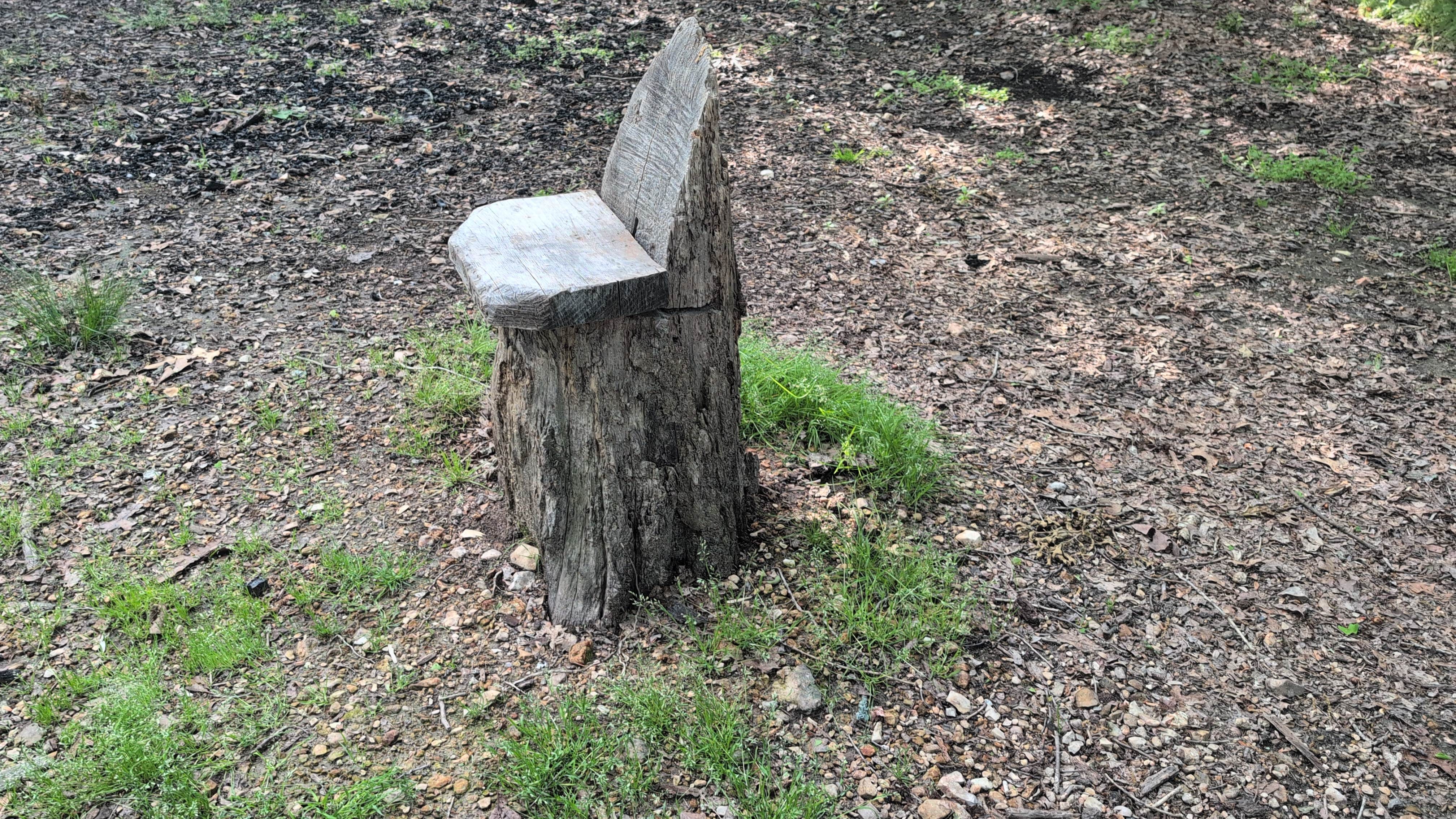 Camper-submitted photo at Lookout Tower Road near Fayetteville, AR