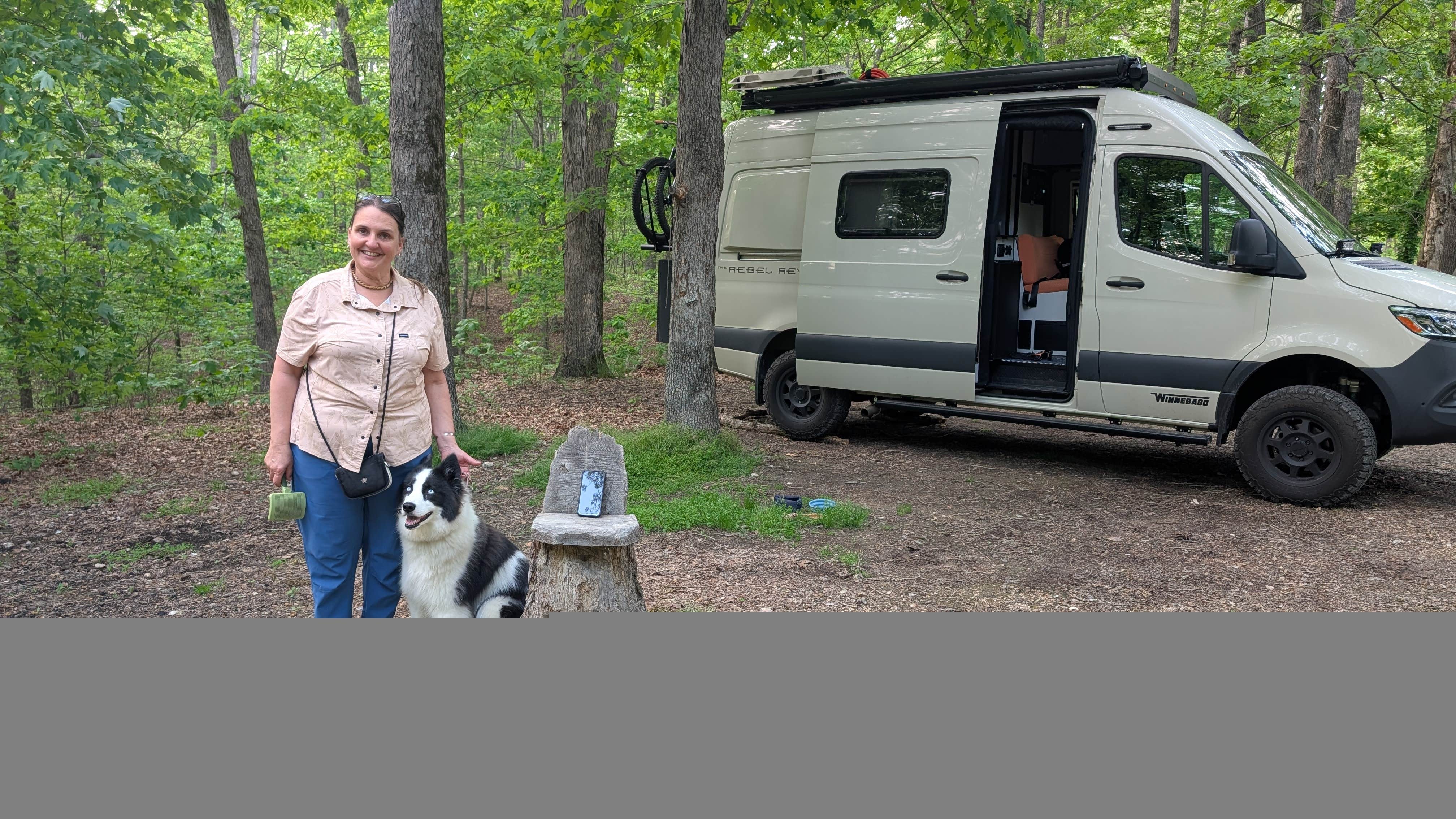 Camper-submitted photo at Lookout Tower Road near Fayetteville, AR