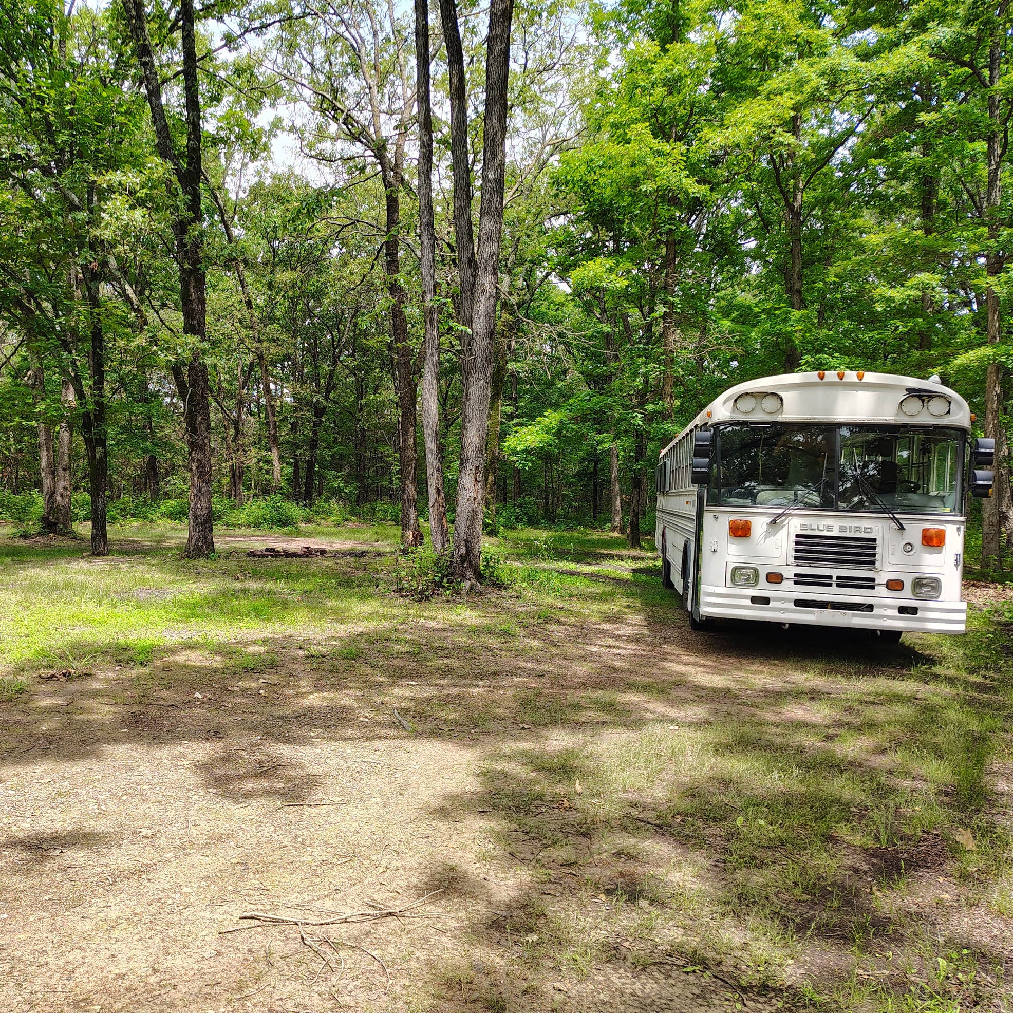Lookout Ar Lookout Tower Road Camping | Siloam Springs, Arkansas