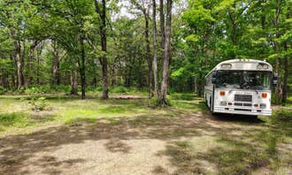 Treehouse Rv Parks Hog Valley RV & Treehouse Resort | Greenland, Arkansas