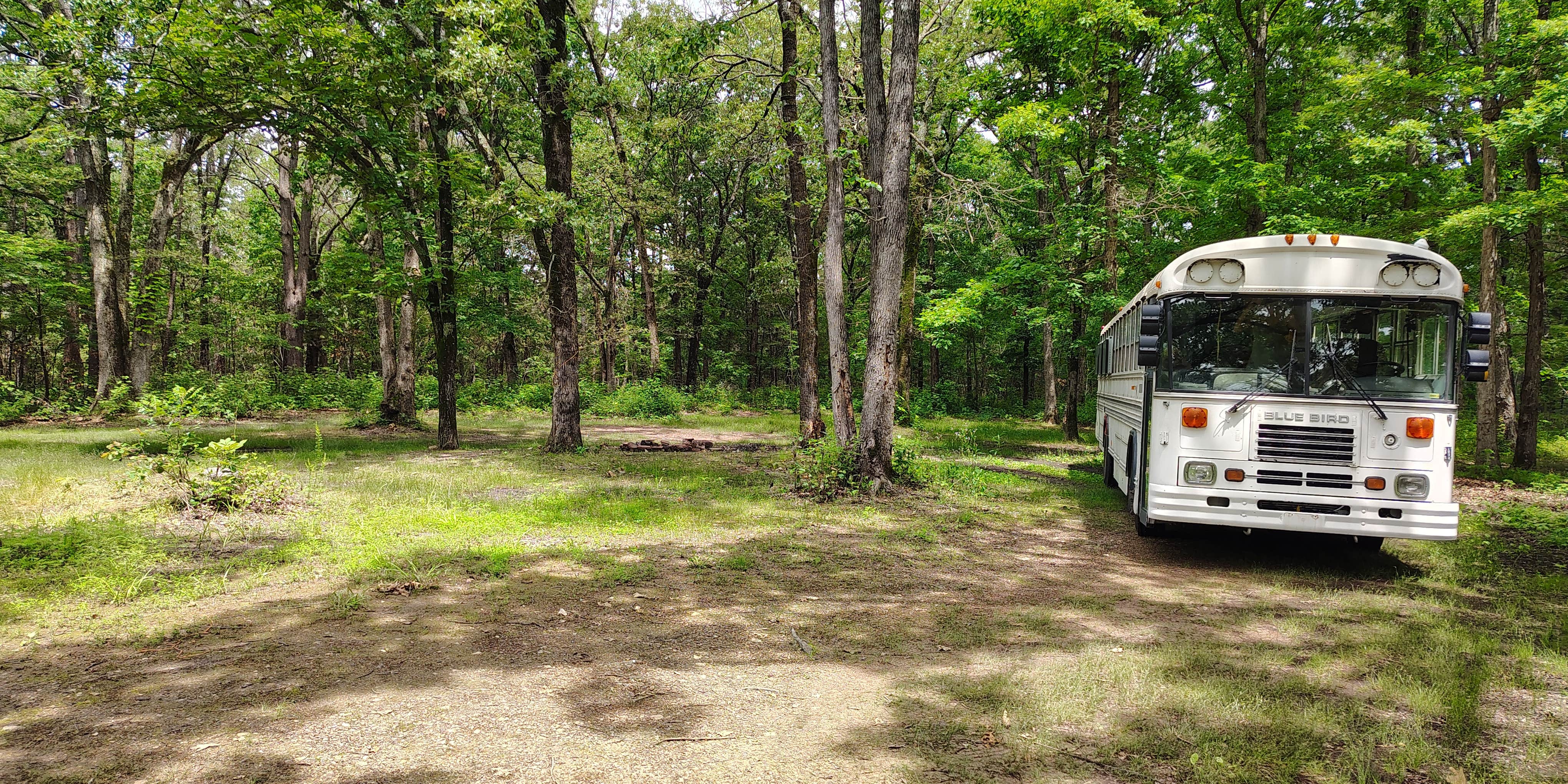 Lookout Ar Lookout Tower Road Camping | Siloam Springs, Arkansas