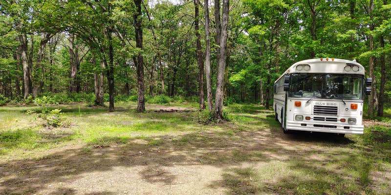 Camper submitted image from Lookout Tower Road