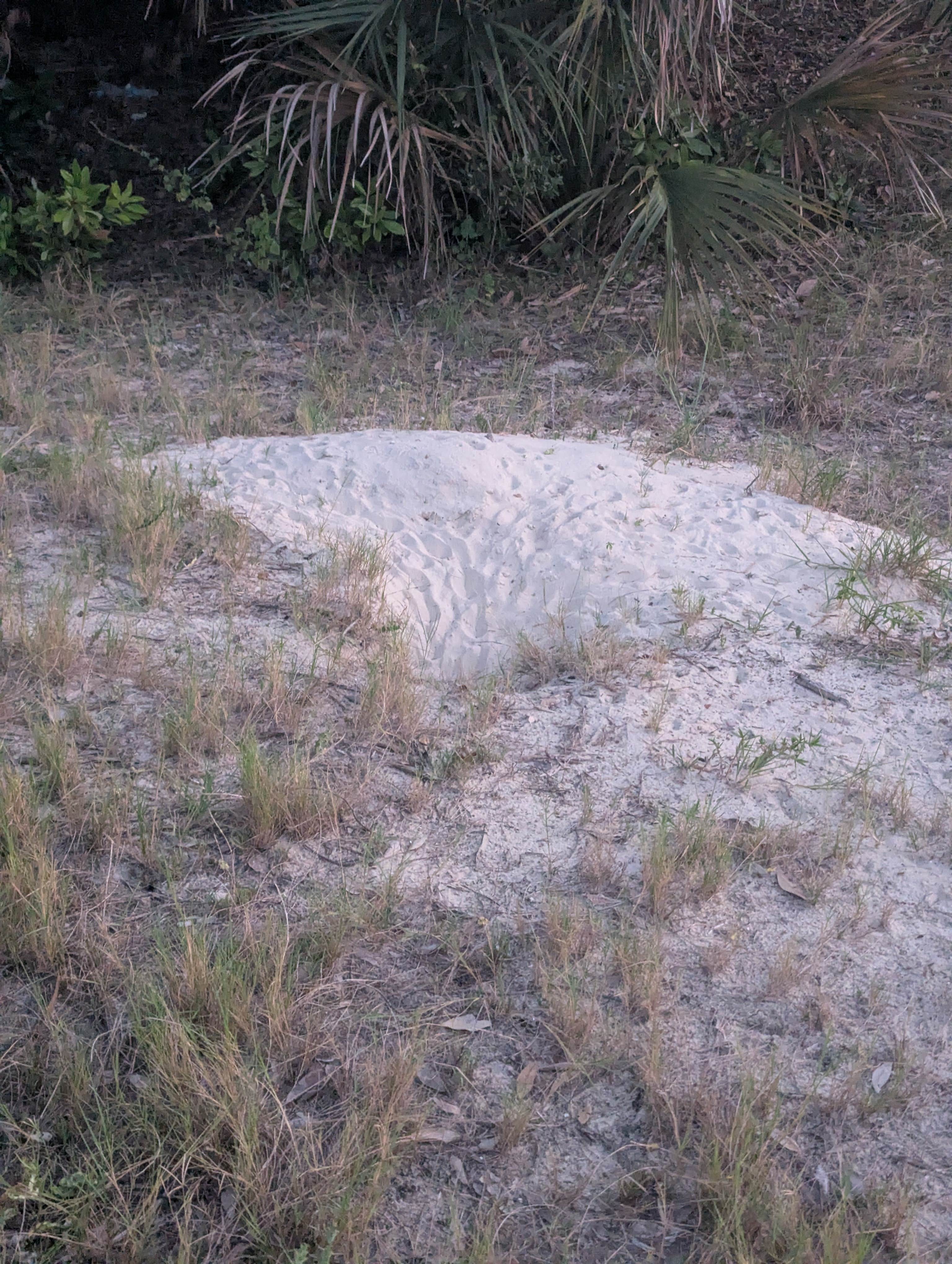 Camper submitted image from Atlantic Beach Campground — Fort Clinch State Park - 2