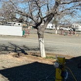 Review photo of Lordsburg KOA by James P., March 2, 2024