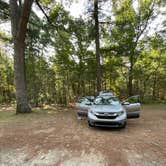 Review photo of Lorraine Park Campground — Harold Parker State Forest by Jacob D., September 16, 2024