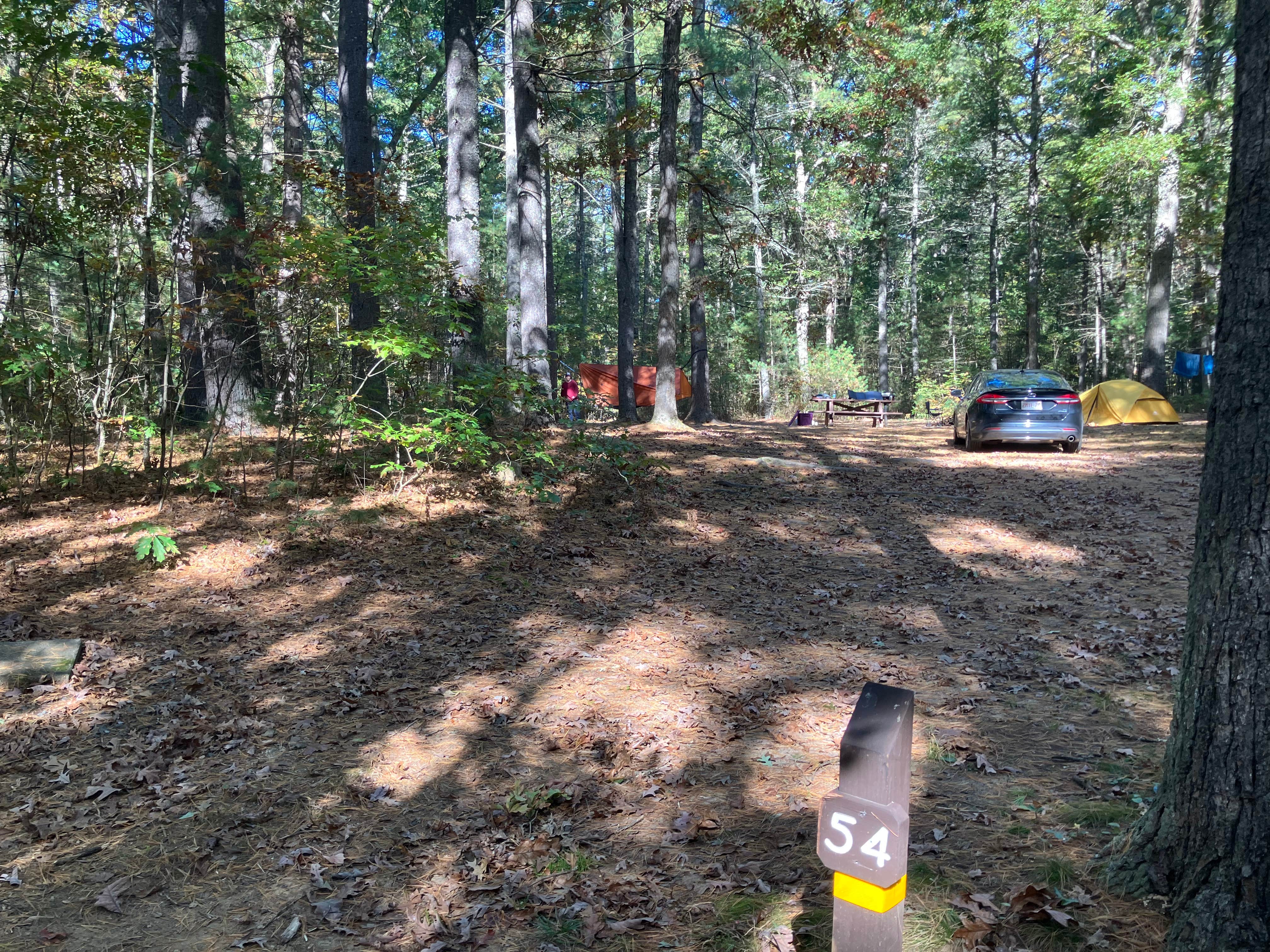 Roger W.'s photo at Lorraine Park Campground — Harold Parker State Forest near North Chelmsford, MA