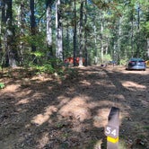 Review photo of Lorraine Park Campground — Harold Parker State Forest by Roger W., October 14, 2023
