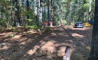 Roger W.'s photo at Lorraine Park Campground — Harold Parker State Forest near Lynnfield, MA