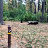 Review photo of Lorraine Park Campground — Harold Parker State Forest by Roger W., October 14, 2023