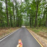 Review photo of Lorraine Park Campground — Harold Parker State Forest by Nicole S., September 1, 2026