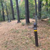 Review photo of Lorraine Park Campground — Harold Parker State Forest by Roger W., October 14, 2023