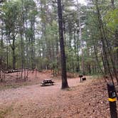 Review photo of Lorraine Park Campground — Harold Parker State Forest by Roger W., October 14, 2023