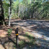 Review photo of Lorraine Park Campground — Harold Parker State Forest by Roger W., October 14, 2023