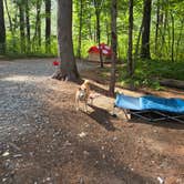 Review photo of Lorraine Park Campground — Harold Parker State Forest by Nicole S., September 1, 2026